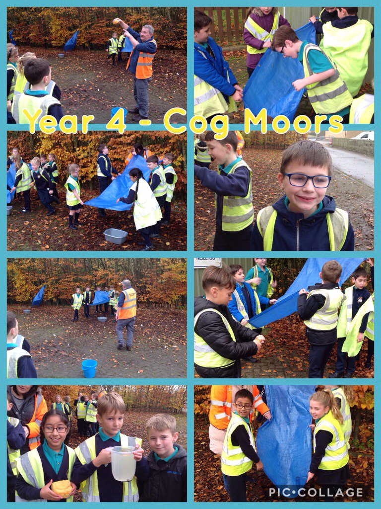 GwenfoCWPrimary's tweet photo. Year 4 have enjoyed learning all about the water cycle. #CapturingLearning #CogMoors @DwrCymru https://t.co/V06j21Ls0m