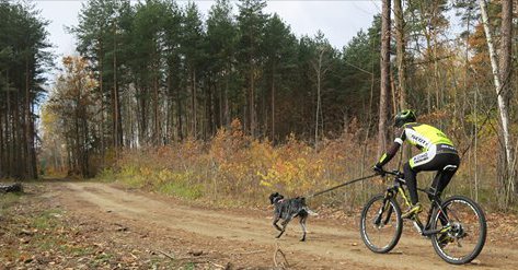 WinnerTubes's tweet image. Here are 5 of the strangest bike disciplines on #RedBull. What do you think, are these weird or awesome? goo.gl/YkXYPN  #WinnerTubes #Win