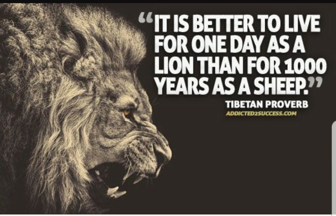 Helpfull100's tweet image. 