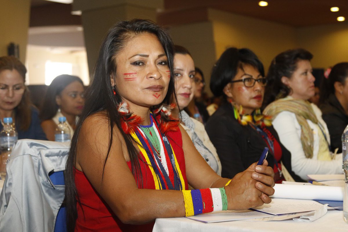 NubiaVillacis's tweet photo. Representación política de las mujeres se analizó en II Encuentro Internacional, en #Quito. 

Entérate más ➡️ https://t.co/VA4Ybuph1q #EncuentroMujeres. https://t.co/MZrxFGbUIq