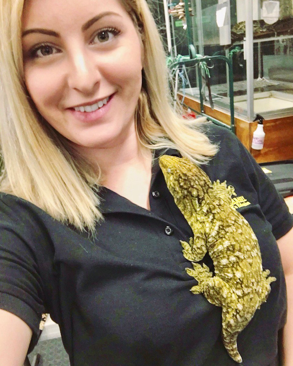 Animal Embassy tweet media