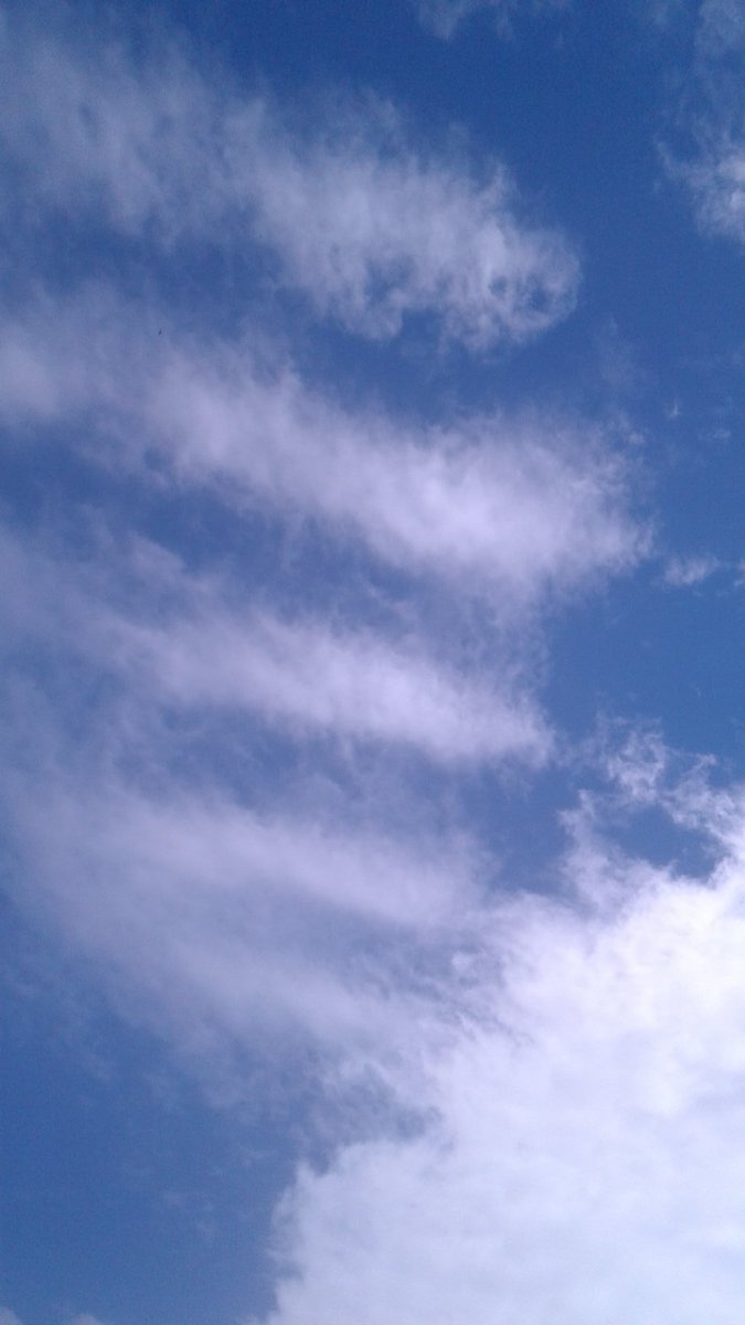 RPGO'NATURAL tweet media