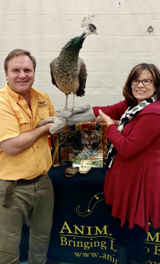 Animal Embassy tweet media