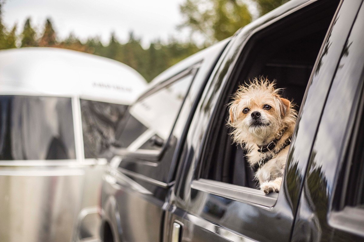 GoRVing's tweet image. When you #GoRVing, every day is #GoForARideDay! Here’s to wishing you a day full of adventure!

📷:@j5mm_blog