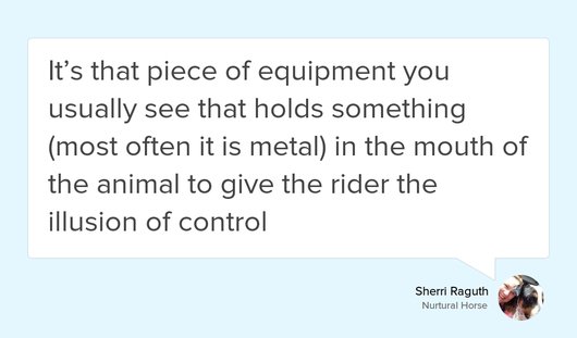 CircleXnurturaL's tweet photo. What is a Bridle? https://t.co/XyXFeaQaTc #BitlessBridle #NurturalBitless #TrainYourselfFirst https://t.co/5n8EfvKd54