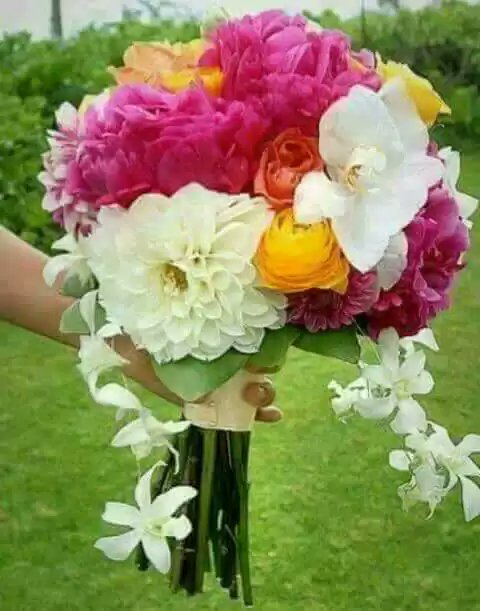 MoniSilo's tweet photo. https://t.co/XfJzFCnsD1
