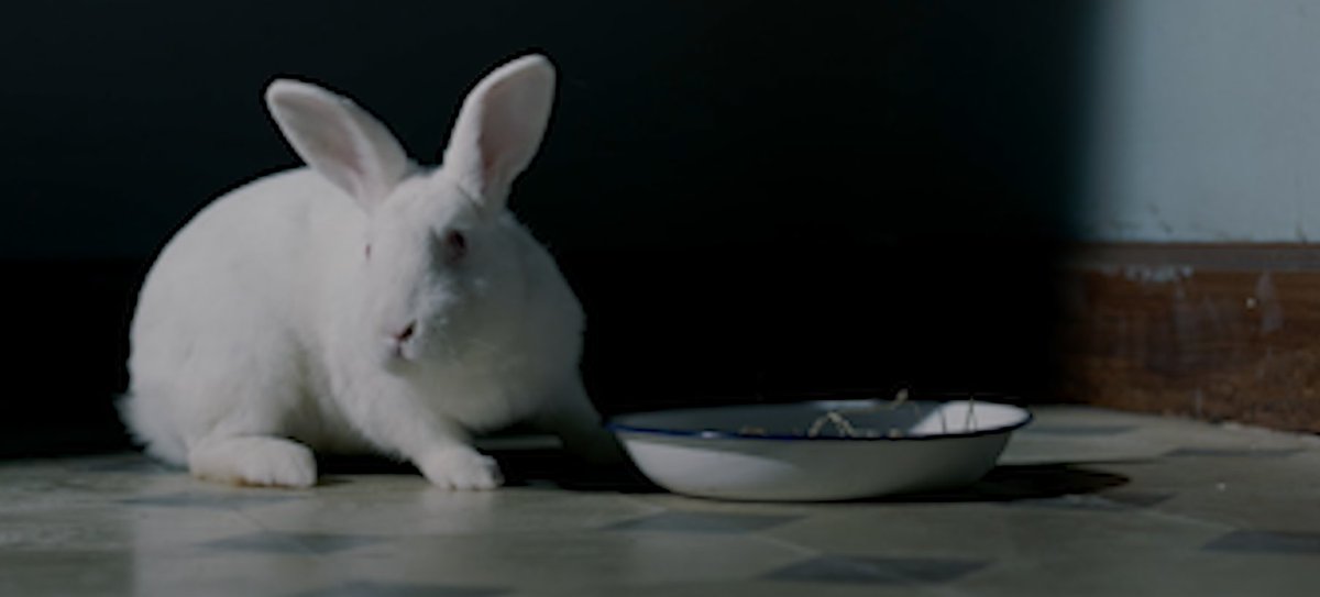 Apnea Films tweet media