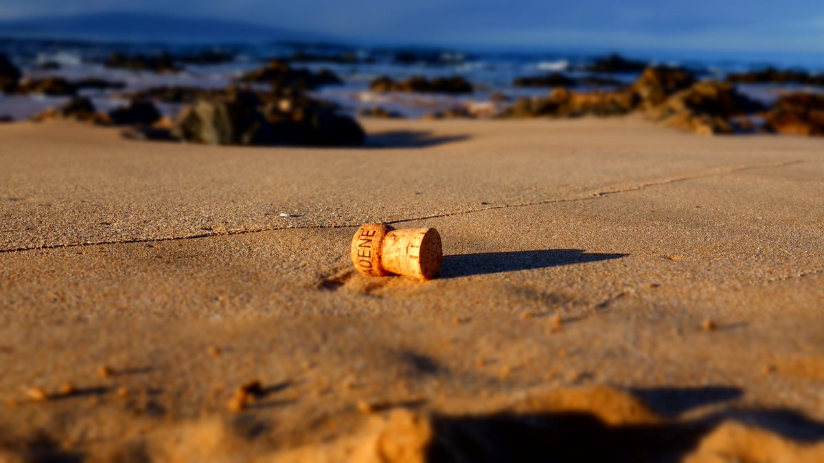 Christine Hartmann tweet media