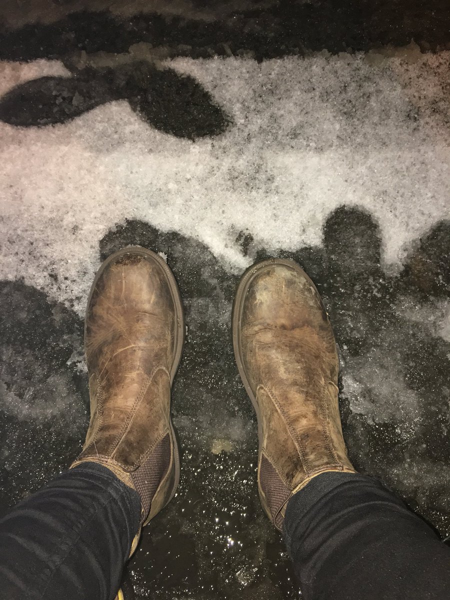 Sá sem var í Sporthúsinu í dag og tók vitlausa Dr Martens skó í stærð 43. Væri endilega til að fá mína aftur.  Þetta er bara ekki eins að vera í annara mann skóm. Rt for awareness