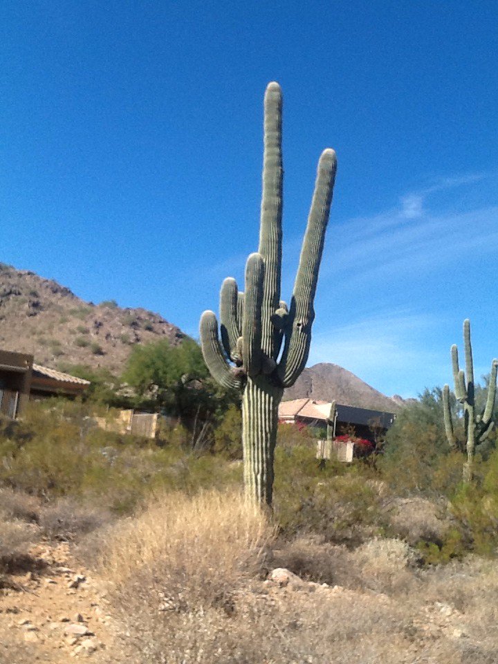 David Short tweet media