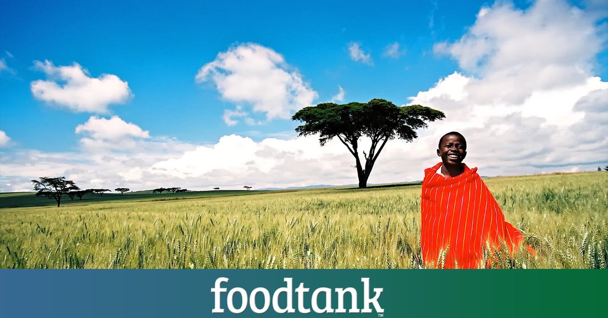 selfhelpafrica's tweet photo. #TEDGlobal2017 explores 'How #Africa can use its traditional knowledge to make progress' - report from @foodtank https://t.co/sybmi7OVEQ https://t.co/0yVcKAEsiK