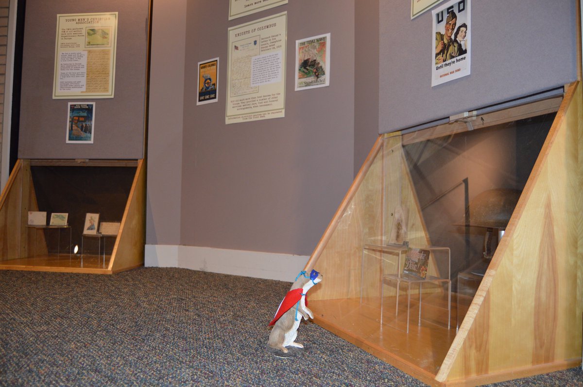 Rufus enjoying another visit through our main gallery. Currently, an exhibit about Buffalo Grove's involvement in the First World War is on display.
#FreeMuseumsAreAwesome #RufusTheWeasel