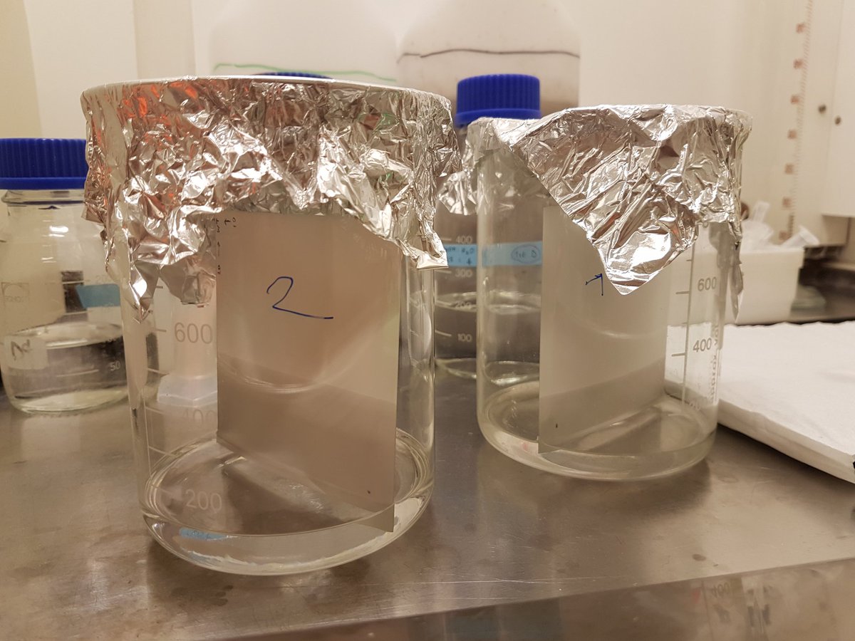 Old is gold. Attempting TLC to investigate the lipid constitution  between different bacteria