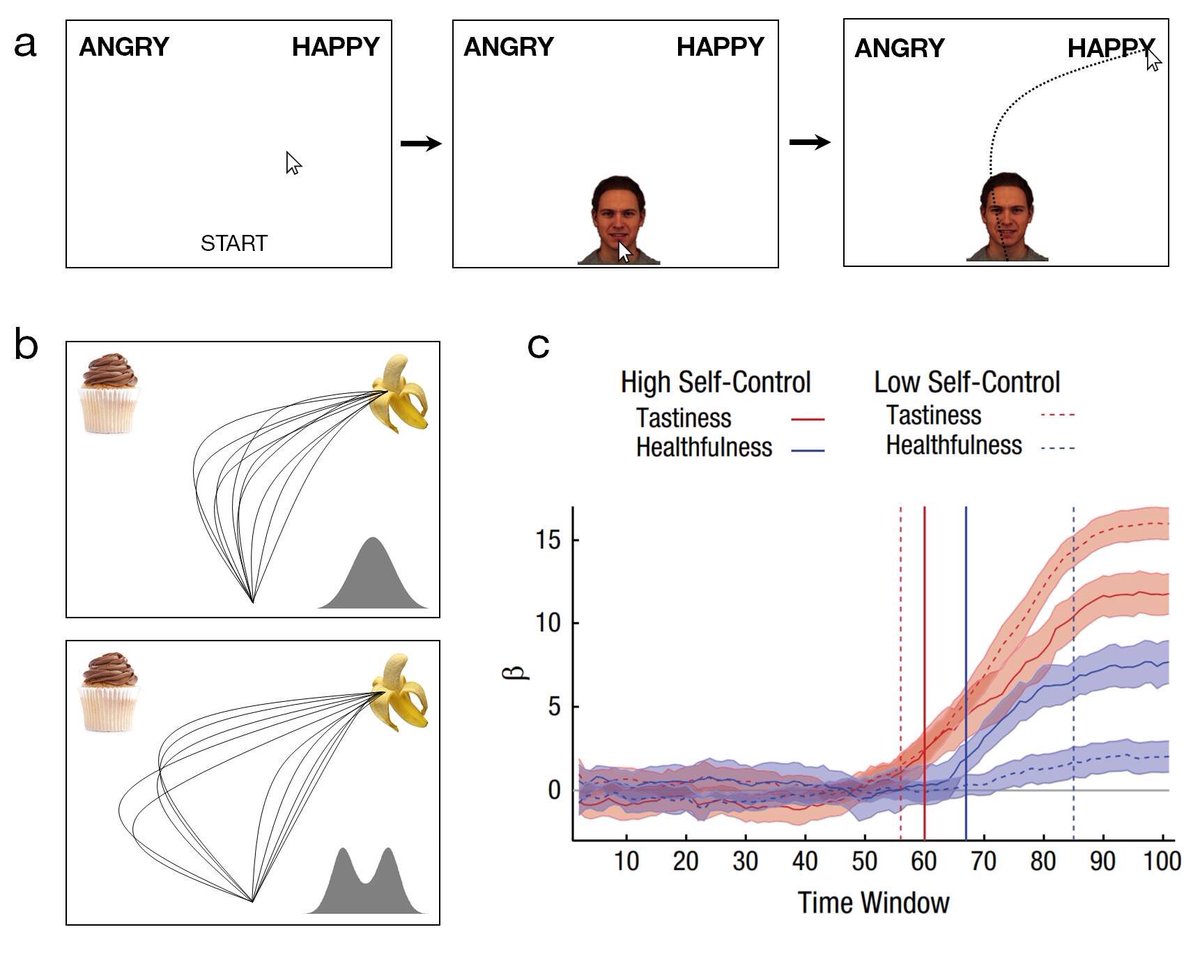 freemanjb's tweet photo. New in Current Directions in Psych Science: my review of 10 years of mouse-tracking research, recent advances, and future directions | https://t.co/t02LRzkWSi | #realtime #decisionmaking #cognitivedynamicsFTW #handinmotion #mindinmotion https://t.co/fCUnfK86t8