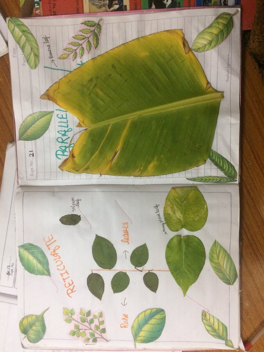 sabharwal_tanvi's tweet photo. Awesome work displaced by the students, by #cutting&pasting. Learning is more when you do & do hands on activity.
#teachinglife #teachingblog #studyingscience #love4science #scienceteacher #teachinglove https://t.co/ebqKQVwWGE
