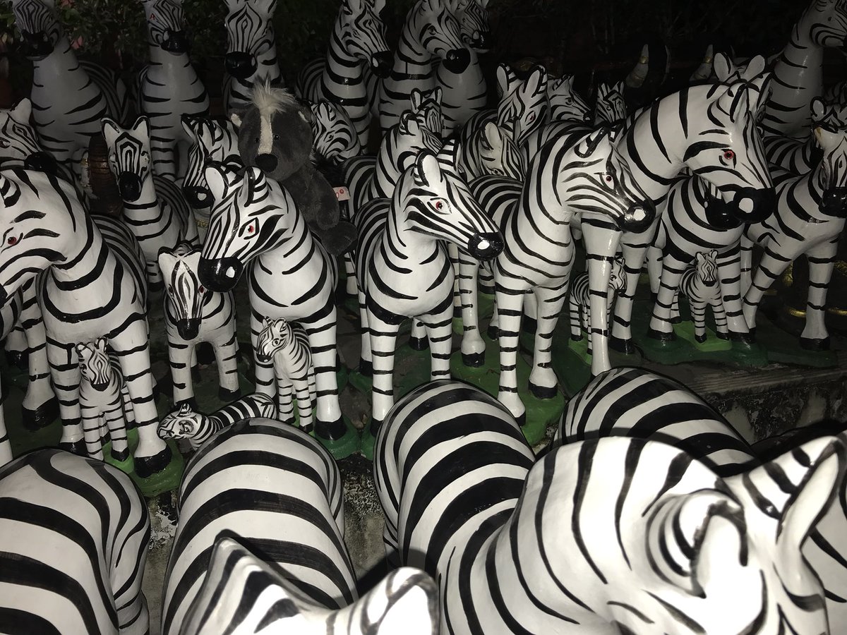 StinkiderStink's tweet photo. Ein kleines #wimmelbild zum suchen. Na wer findet mich? #stinkiworldtour #bangkok #zebra #urlaub #wobinich https://t.co/CI1S4hgfi2