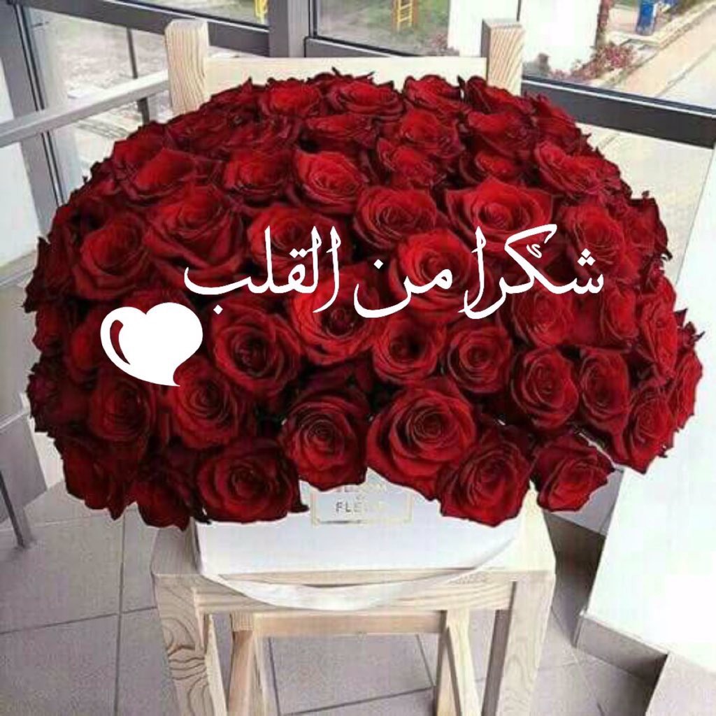 mbrook__11's tweet photo. إهداء من إدارة
⁧#اسطول_لفندر_للدعم⁦⁦
للمتفاعلين بتاق القروب👑
⁦@S00A000⁩ 
⁦@5___5ga⁩ 
⁦@19_tabi_87⁩ 
⁦@m27x19a⁩ 
⁦@Lala__24⁩ 
⁦@azezalgah⁩ 
⁦@Njoud239⁩ 
⁦@xxww_11⁩ 
⁦@ass5478⁩ 
⁦@njn_1⁩ 
⁦@sssaaa02017

 شكراً لكم بحجم السماء https://t.co/O0pH3DgDfG