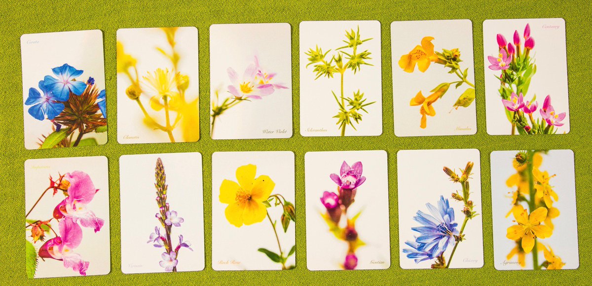 Jackie Stewart tweet media