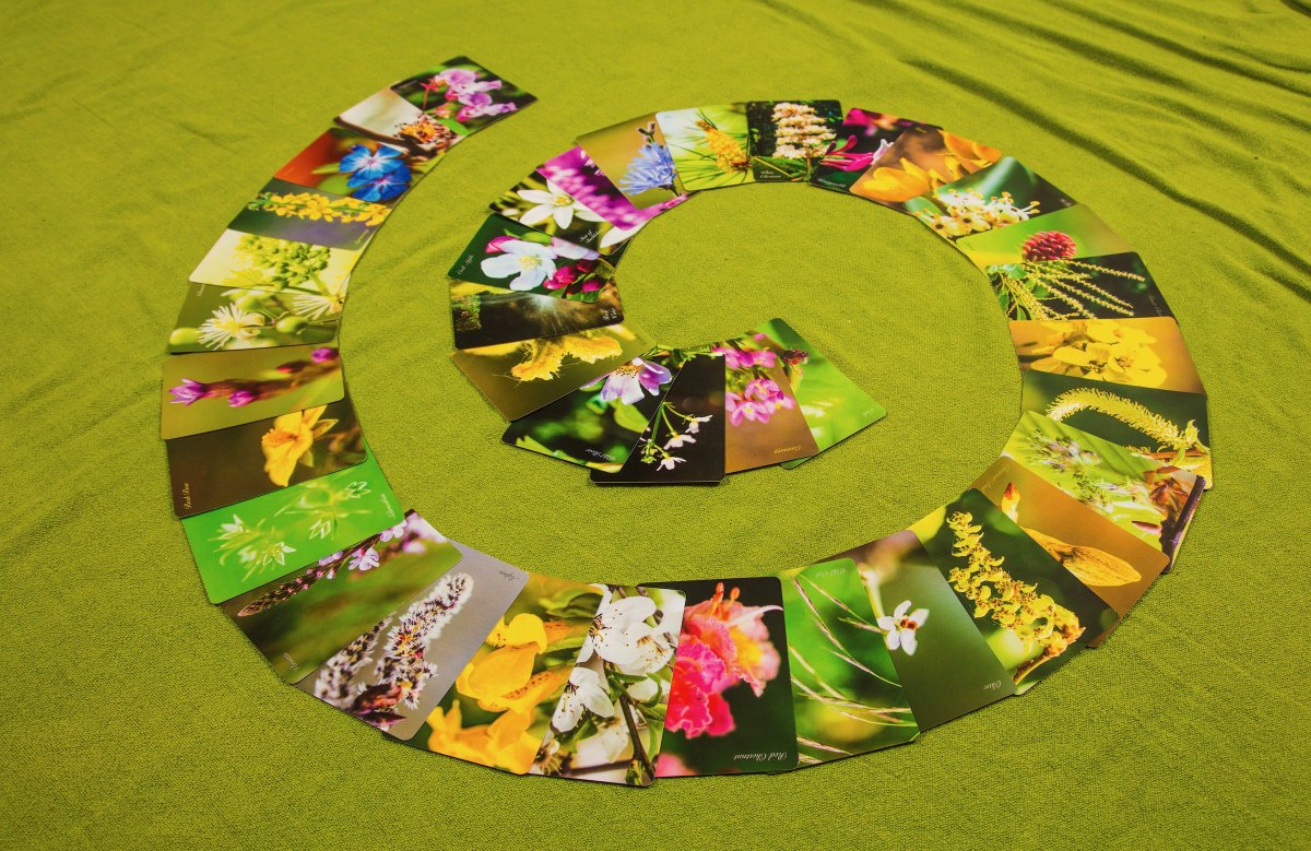 Jackie Stewart tweet media