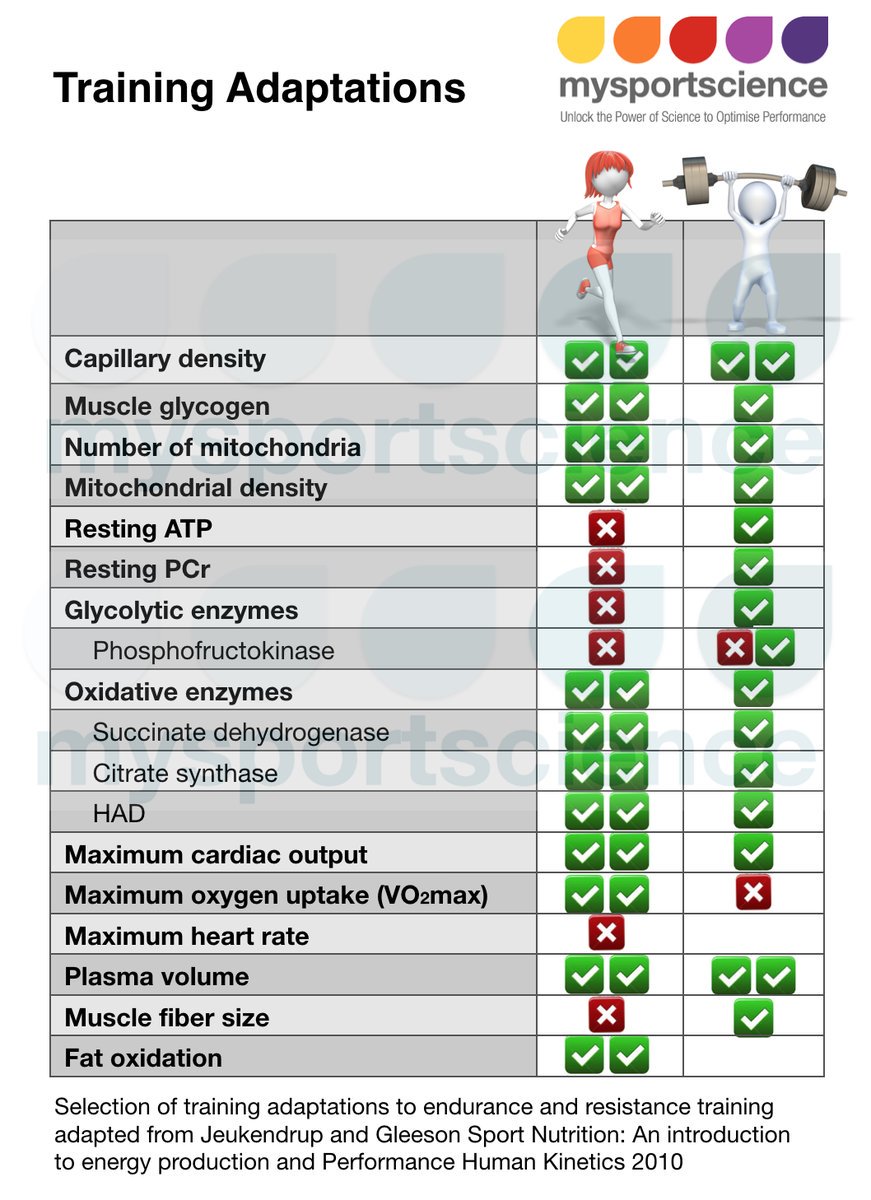 Jeukendrup's tweet photo. A selection of training adaptations that will occur with Endurance and Resistance training. @mysportscience https://t.co/CwsxMNFpC0