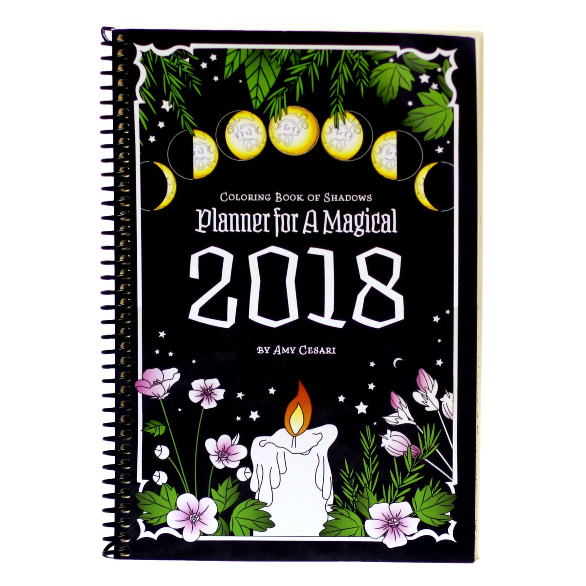 TheColoringClub's tweet image. Review of Amy Cesari's Planner for a Magical 2018. It's awesome! facebook.com/thecoloringclub