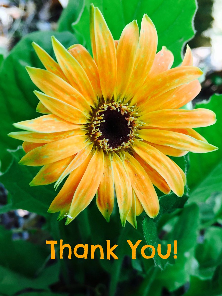 It's National #FamilyCaregiversMonth --
How Are YOU, Family #Caregiver — Are You Caring for Yourself? | SeniorCare Corner ow.ly/ugIm30gBOT5 #selfcare #help