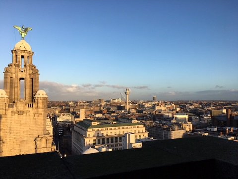 USP Creative tweet media