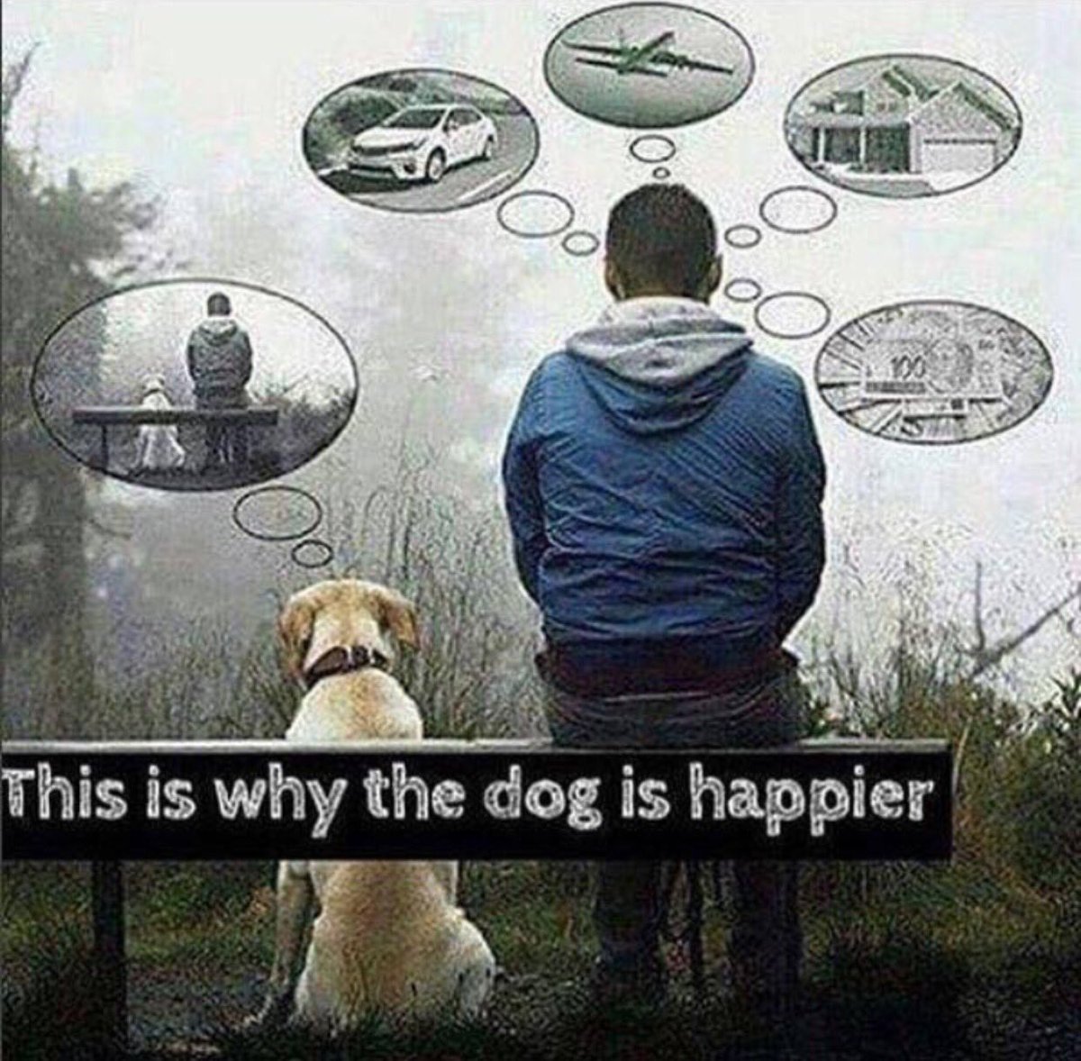 realbadger's tweet image. Being with you... #WhatYourDogIsThankfulFor