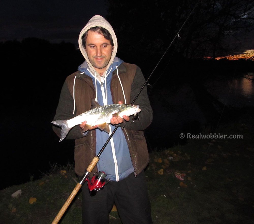 RealwobblerLure's tweet photo. Asp on #Realwobbler Retro Ultra Light Silver #Crankbait: https://t.co/m679c3pEIH. C&R
#asp #fishing #aspfishing #aspius #aspiusfishing #retrolures #customlures #handmadelures #woodenlures #swimbaits #angeln #spinnfischen #rapfen #kunstköder #wobbler #pesca #жерех #распер https://t.co/26c8sn1KfD