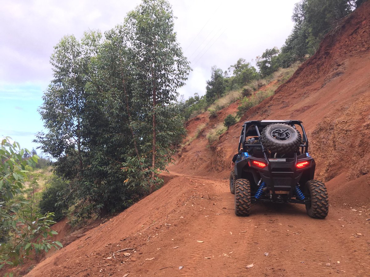 visitlanai's tweet photo. Is it the weekend yet because we are ready! Join us! #Lanai #UTVRide https://t.co/rwxqeCCfl4