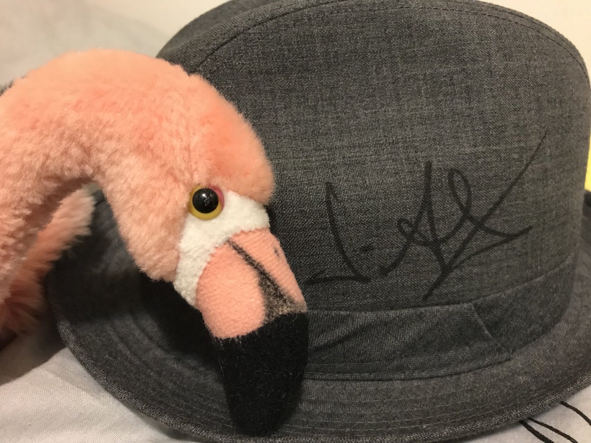 Nannolo74's tweet photo. Il flamingo col cappello 🎩 grazie zio @jaxofficial #saveFlamingo https://t.co/uYOqtX8dxO