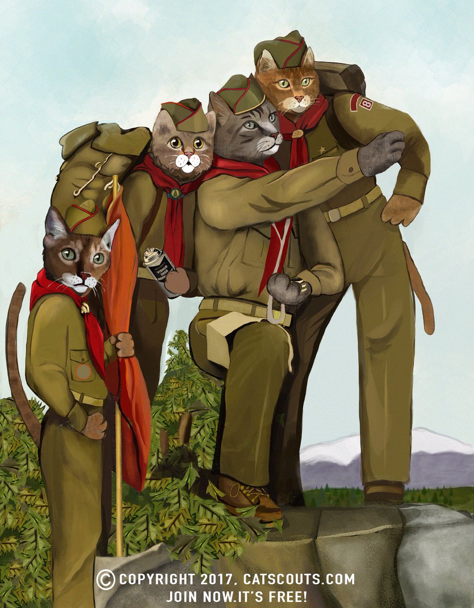 CatScouts's tweet photo. There's a new jigsaw puzzle on #CatScouts! Complete 3 puzzles for your jigsaw merit badge! https://t.co/tdYnz1DMSD