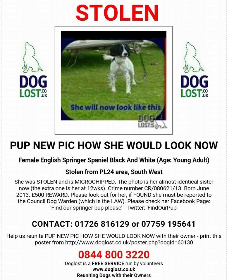#Puphour Pup was #stolen on 16 Nov 2013 St Blazey #Cornwall but sadly has not been scanned #ScanMe 

Please support <a href="/DoglostUK/">DogLost</a> who provide an amazing FREE service for all missing/stolen animals not just dogs. They rely totally on donations.