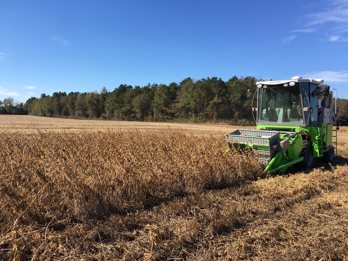 TheMuddyTiger's tweet photo. Soybeans look great this year. Sampling / Cover crop CIG being harvested. TY to the Colemans, Jimmy &amp; Kyle.#SouthernCoverCrops https://t.co/cwfUfd0Bt9