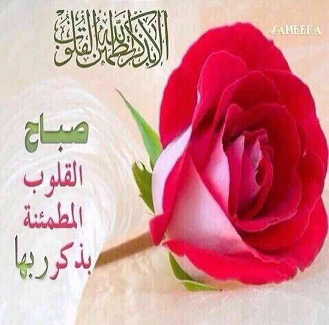 MTememi's tweet photo. @jawaherq8_Otb  https://t.co/SgVMej2ZFV
