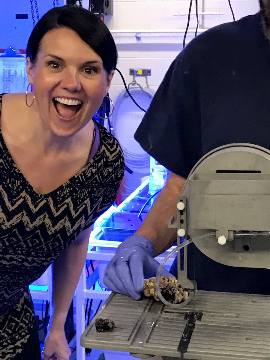thedavieslab's tweet photo. Principal investigator @DaviesswPhD is pretty pumped about teaching @BUMPatBU students about #coral responses to #climatechange. Thanks to our lab members for lending a hand during colony sectioning today!  @bebenson9 @andrita007 @BU_Biology https://t.co/BfItJ0AElQ