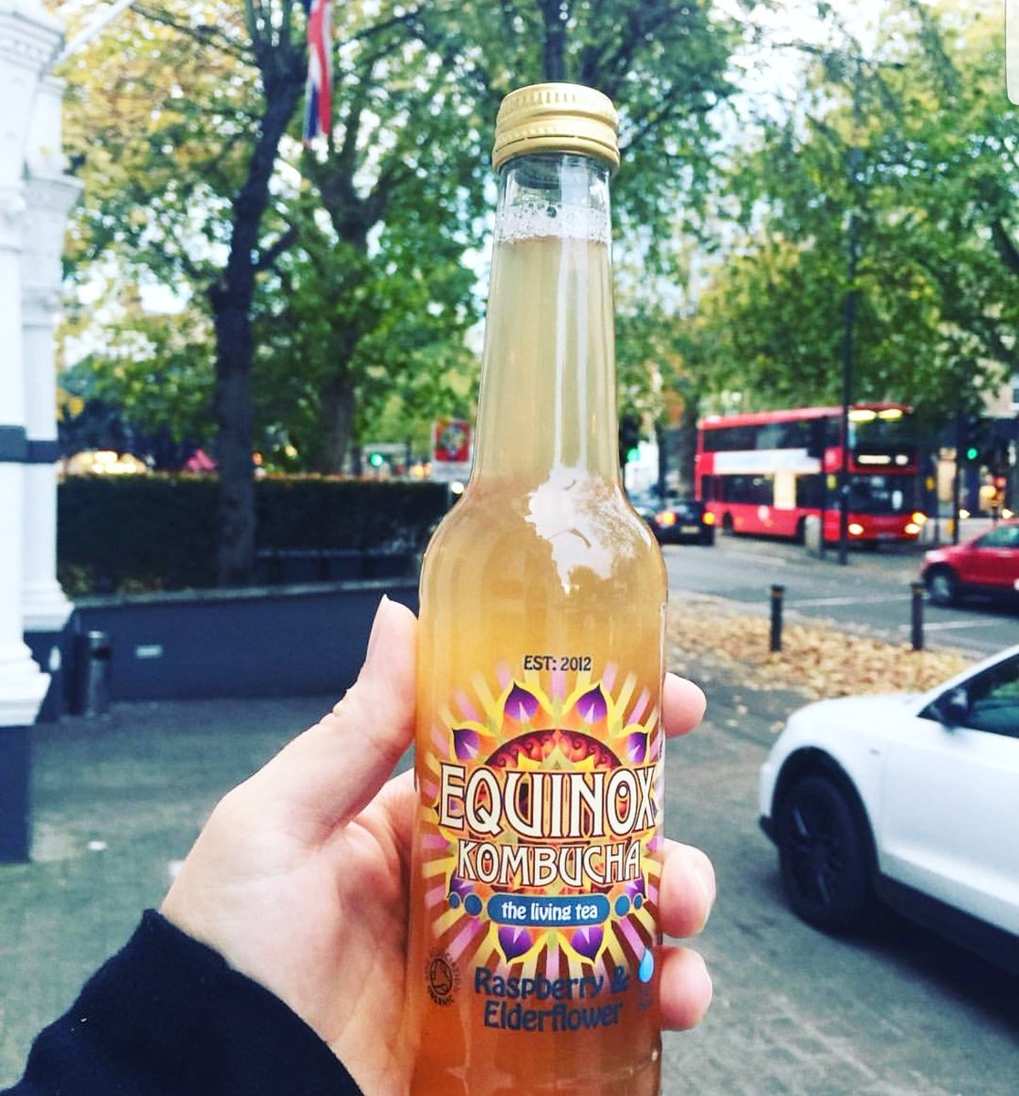 EquinoxKombucha's tweet photo. Out on the town armed with an Equinox Kombucha, life is good! 🍃❤👌#kombucha #guthealth https://t.co/UQVkl5hpm4