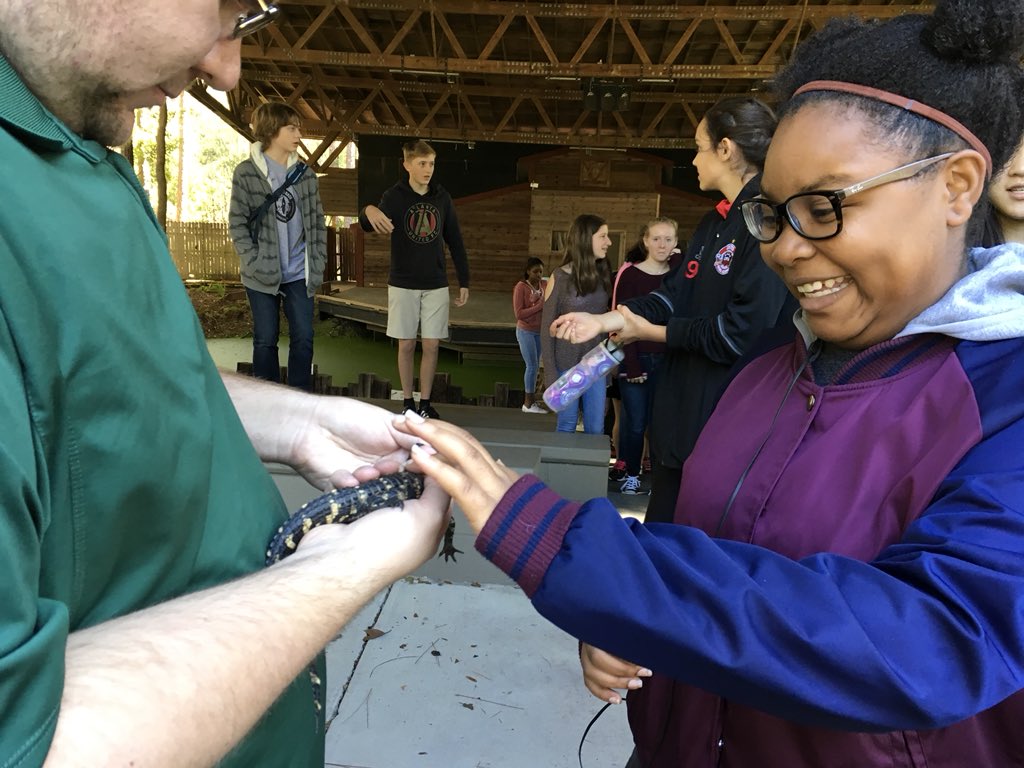 brownatwbms's tweet photo. Baby Jaws and Monster stars of wildlife show #realgators #bravergirls @webbbridge @WBMSprincipal @hurstwbmsap @mgarnerwbms https://t.co/3NWoVRCCtn
