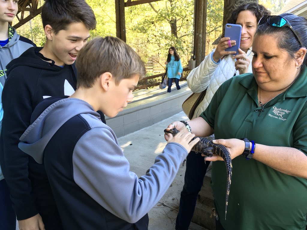 brownatwbms's tweet photo. Baby Jaws and Monster stars of wildlife show #realgators #bravergirls @webbbridge @WBMSprincipal @hurstwbmsap @mgarnerwbms https://t.co/3NWoVRCCtn
