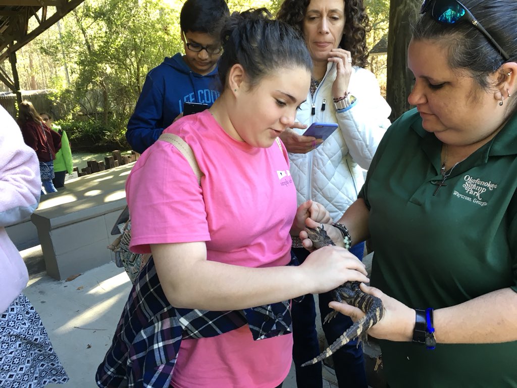 brownatwbms's tweet photo. Baby Jaws and Monster stars of wildlife show #realgators #bravergirls @webbbridge @WBMSprincipal @hurstwbmsap @mgarnerwbms https://t.co/3NWoVRCCtn