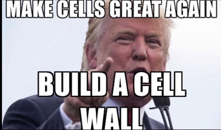 CellWall_s09's tweet photo. https://t.co/U2WToPDEyU