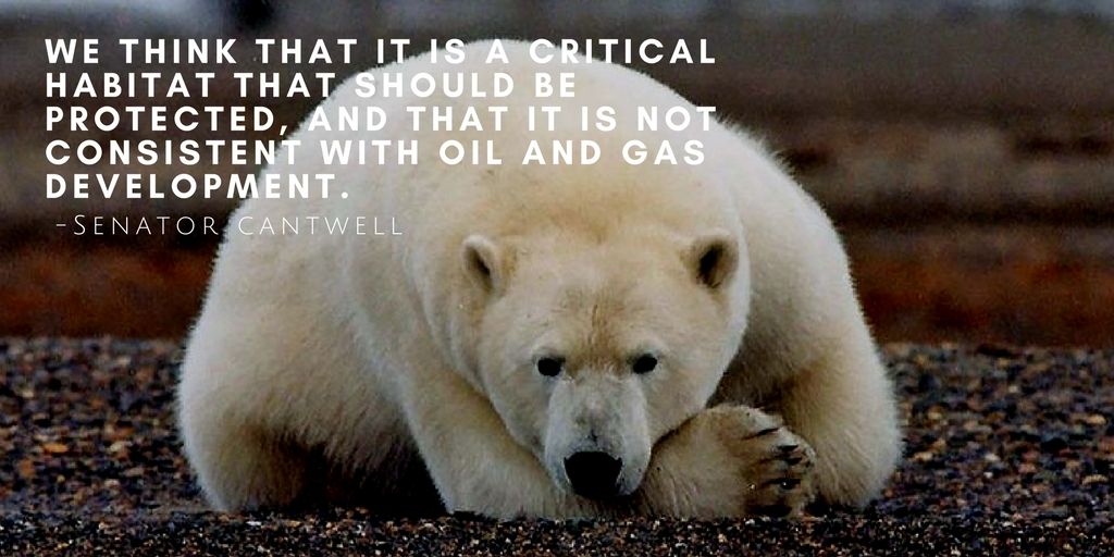 Senate Energy Democrats tweet media