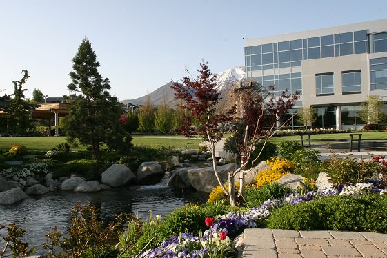 tucklandscape's tweet photo. Fall in love with your outside space. Here at Tuck, we can help you achieve it. https://t.co/6eytPkt7le