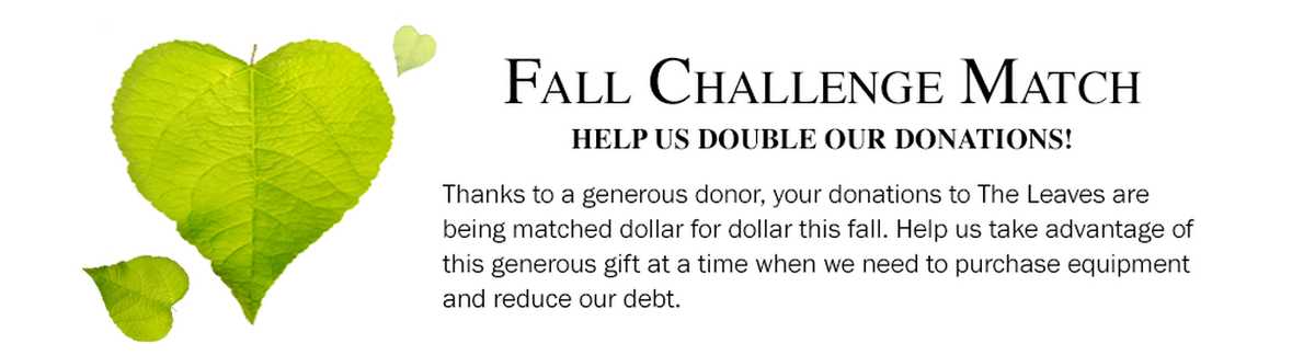 DailyShade's tweet image. Now is the best time to give to your Christian Science nursing facility, The Leaves. All of your donations are DOUBLED during our Fall Challenge Match. TheLeaves.org/Contribute