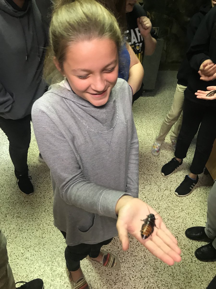 Kendall Shue tweet media