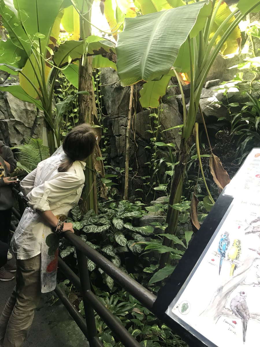 Kendall Shue tweet media