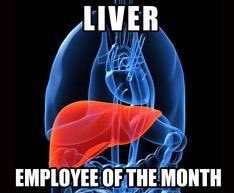 This is VERY true! It’s important to take care of your liver since it’s the one that cleanses out the toxins along with your skin &amp; kidneys