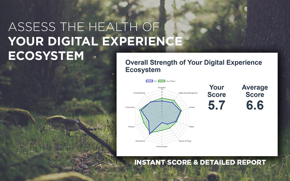 b_essmann's tweet photo. Assess the health of your digital experience ecosystem with this 5 min. assessment. https://t.co/eINrdr74QW  #DX #CMS #DigitalMarketing https://t.co/6kawCLmzTz
