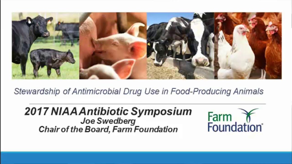 TruffleMedia's tweet photo. Panel One, #Antibiotic Stewardship Update Progress https://t.co/iPOzZg3exl #AntibioticResistance #AgAbx @niaa_comm @Zoetis @farmfoundation @US_FDA https://t.co/rwyPfePsGT