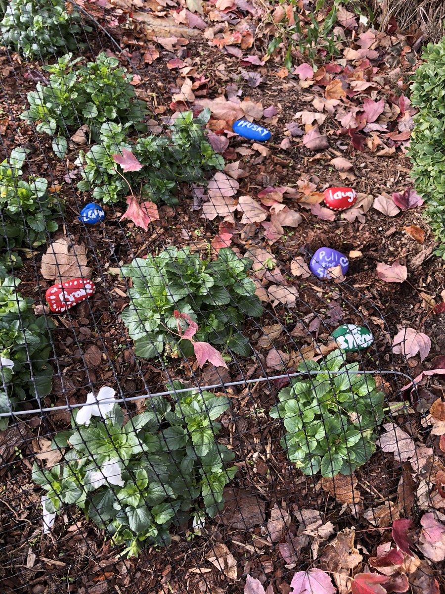 FHSMathManiacs's tweet photo. In our Husky House System we painted rocks with words that reminded us of Flint Hill! They’re now in our garden for everyone to see. #myflinthill #pullthesled #housesystem #goyukon https://t.co/ud5AwmdD3I